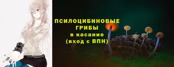 2c-b Верхнеуральск