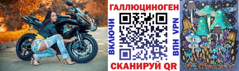 Галлюциногенные грибы Psilocybe  Нытва 